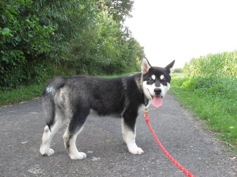 W-Wurf Witu und Whakan 044